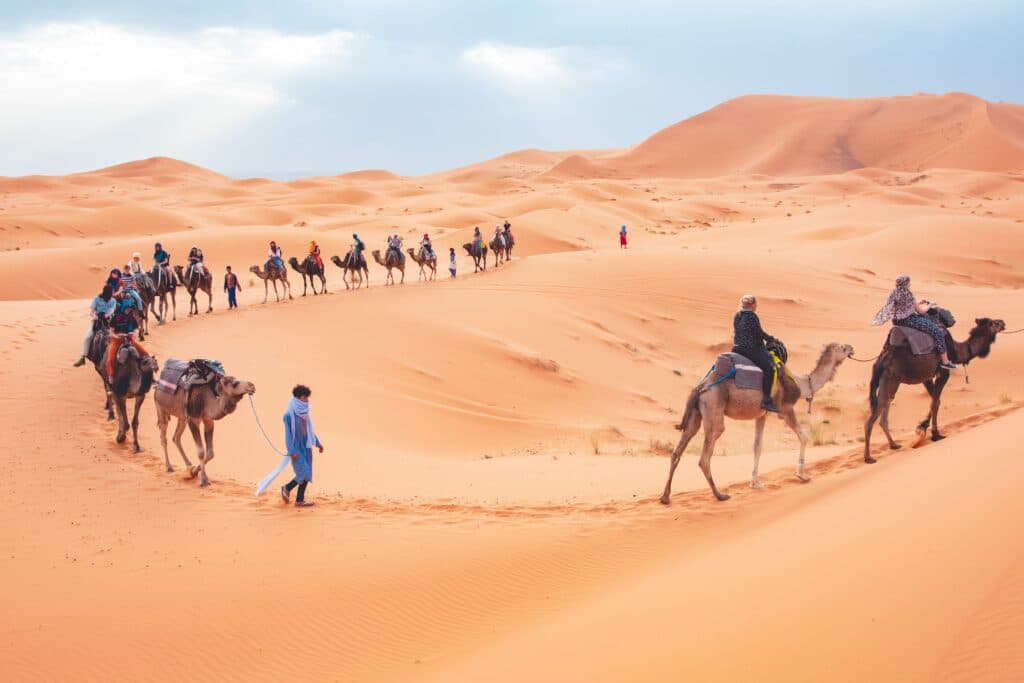 Camel trekking across the Erg Chebbi dunes in Merzouga