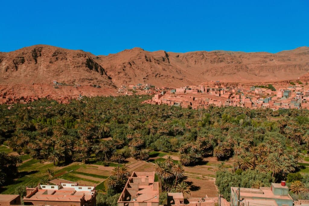 Tinghir palm oasis and mountains near Todra Gorge Morocco