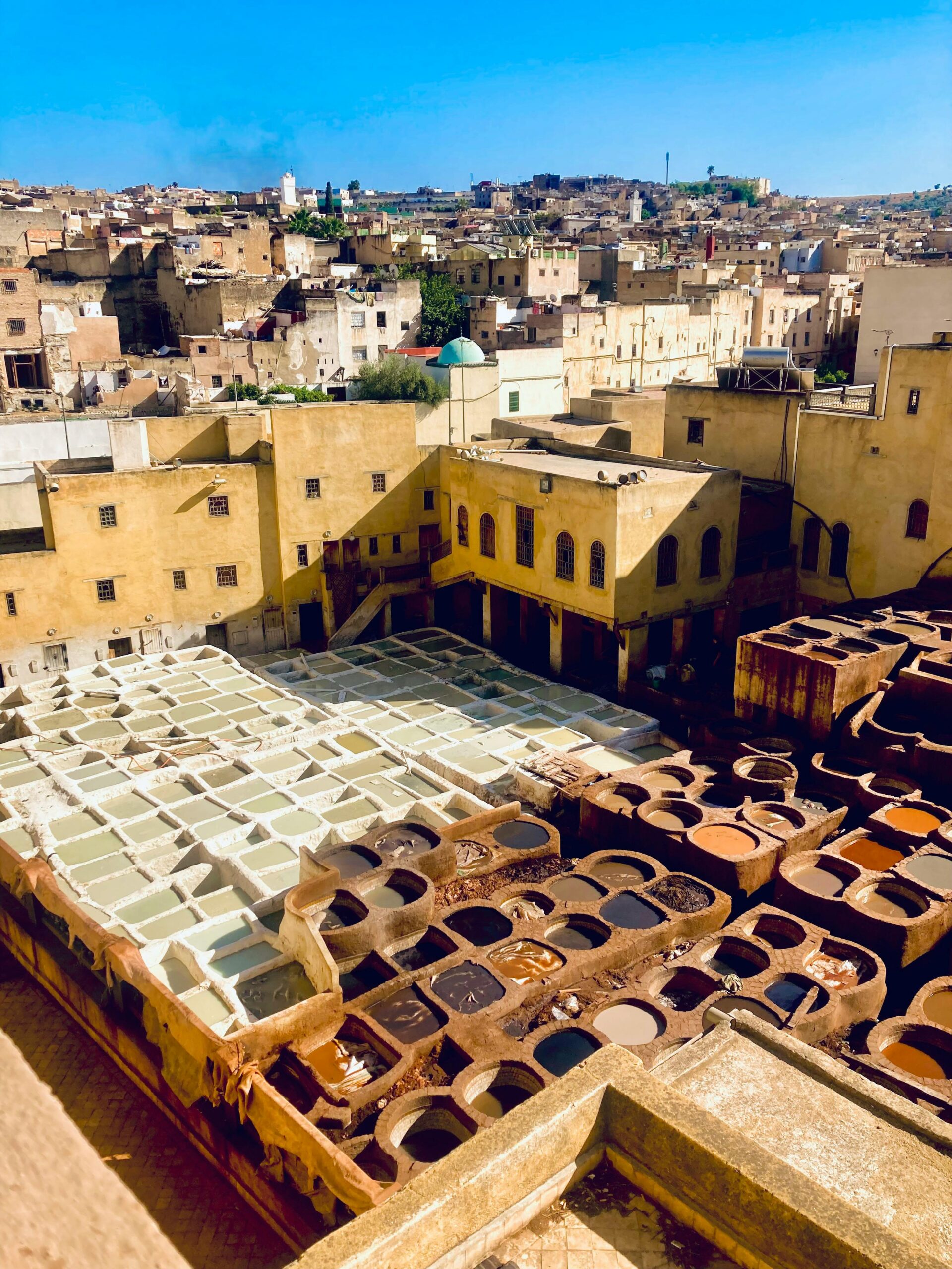 Fes Tannery